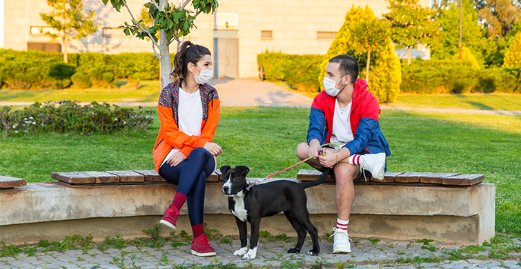 Couple with a dog wearing masks.